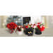Luxury Gift ¼ Gold Lira & Lacoste Watch | Floral Box